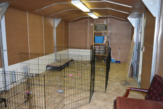 Chorkie facility