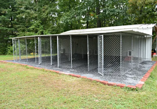 Chorkie facility